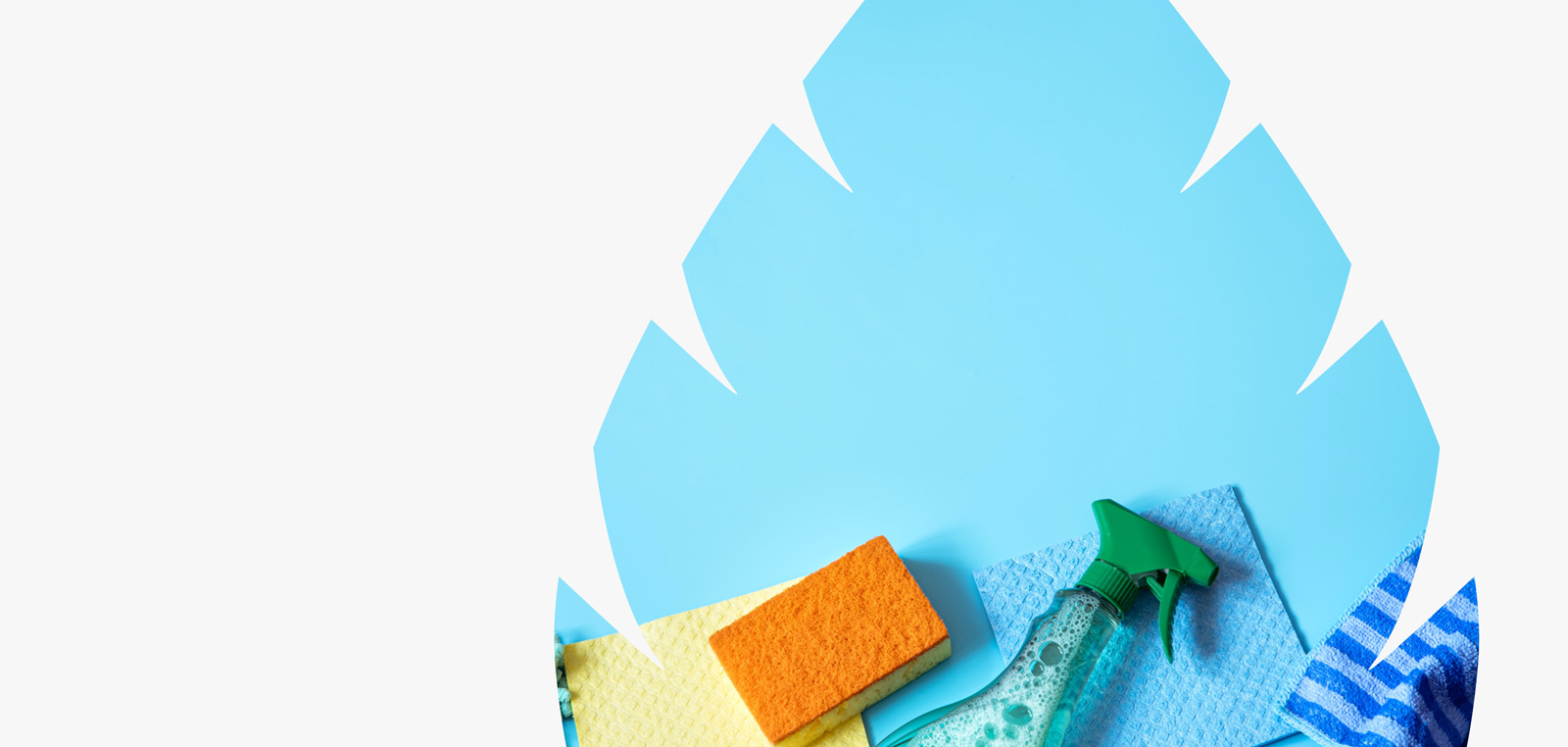 Cleaning sponges, a spray bottle and cloths