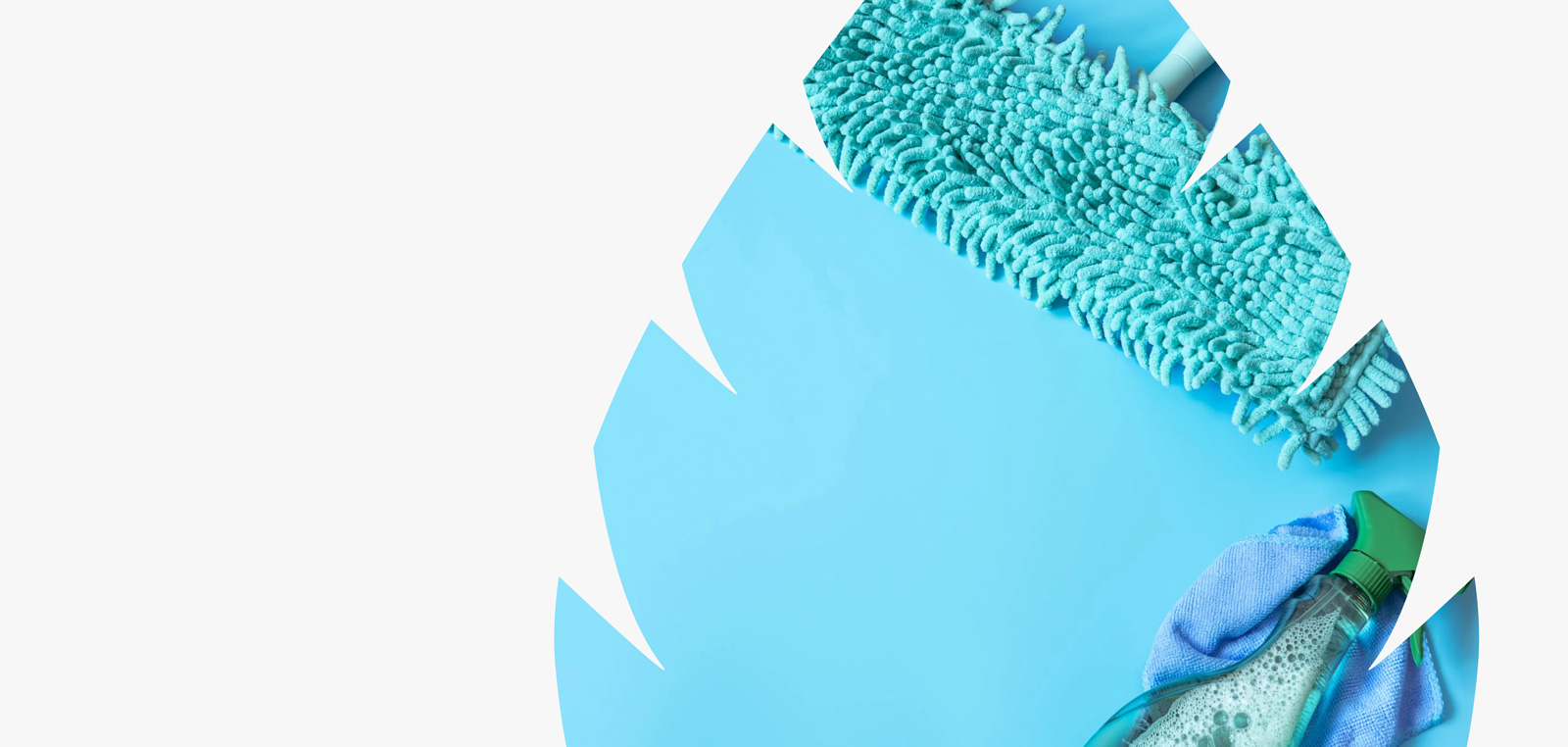 A microfibre mop head and a spray bottle